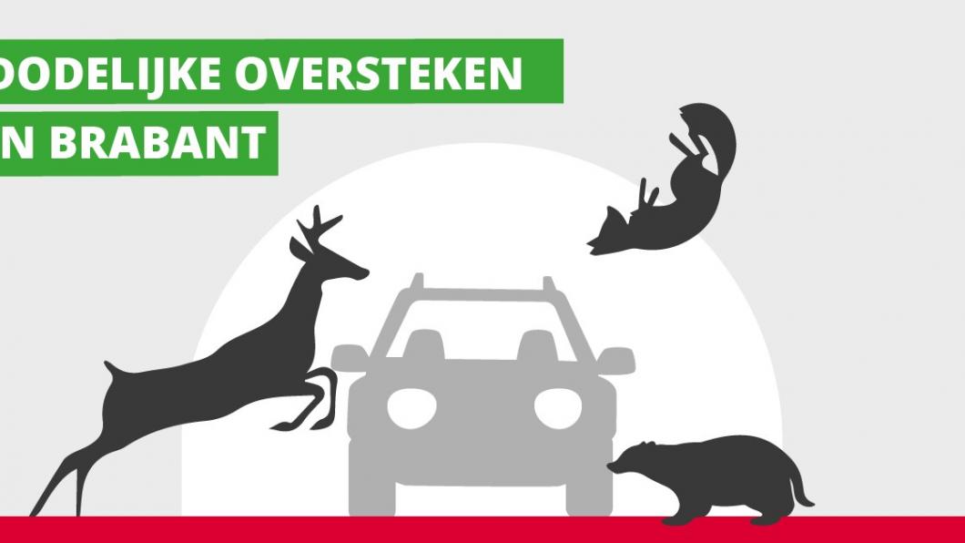 Oversteken