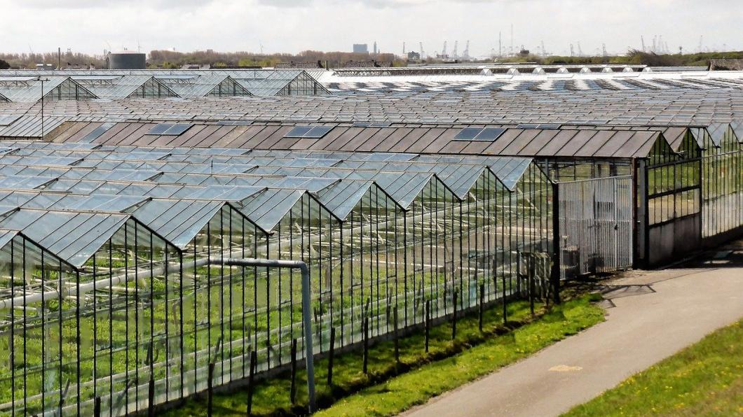 glastuinbouw