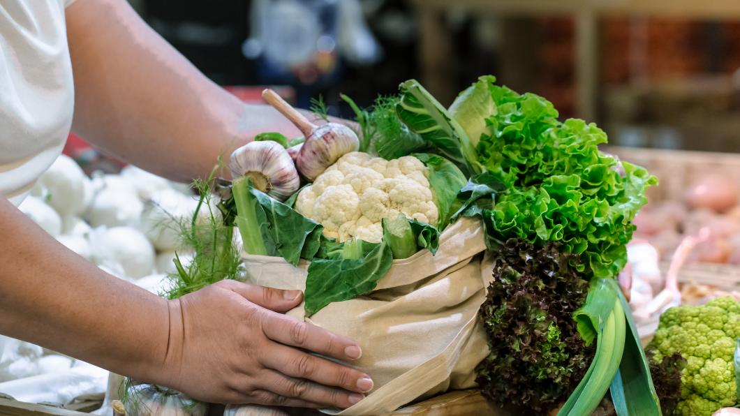 hand tas groenten duurzaam
