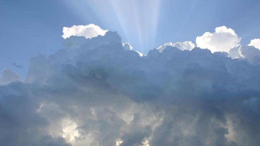 Schone lucht manifest
