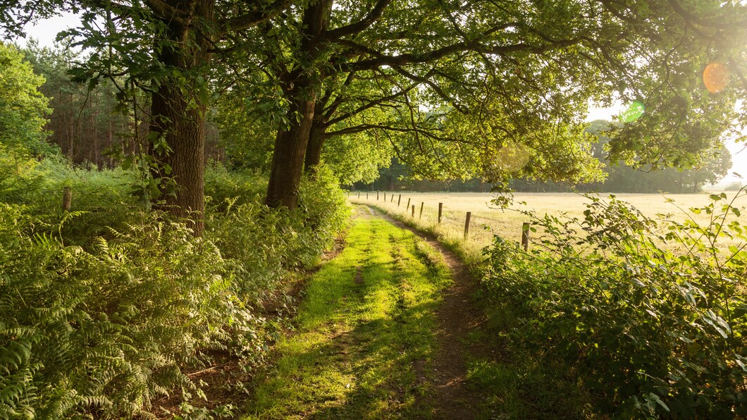 Inheemse bomen