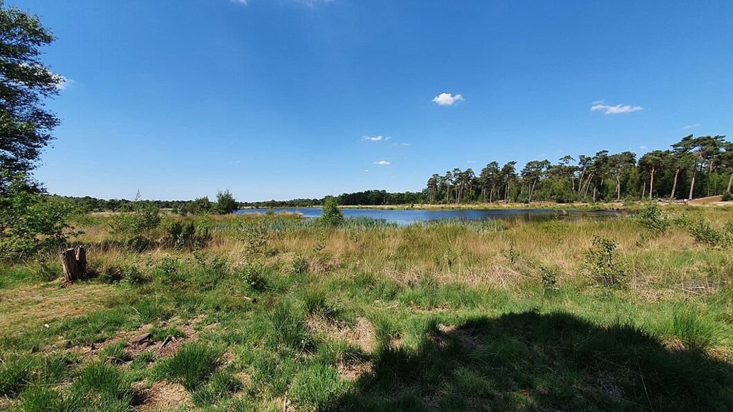 Kampina mest