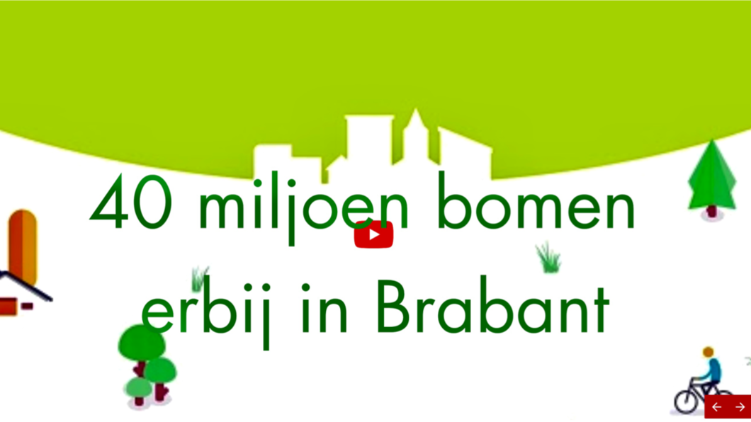 40 miljoen bomen Brabant