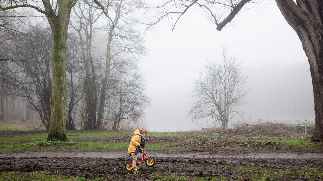 Bos natuur fiets