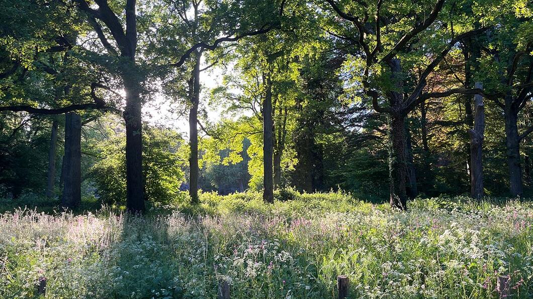 Nationale parken