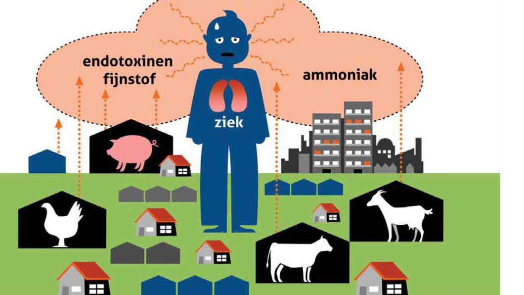 endotoxinen-ammoniak-fijn-stof.jpg