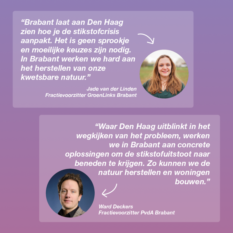 quotes jade en ward