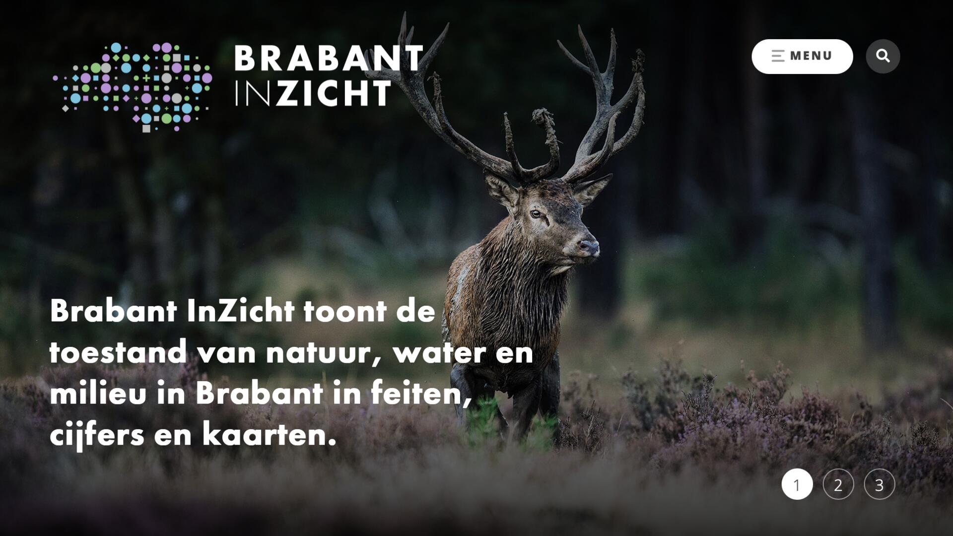 foto met hert van website brabant in zicht