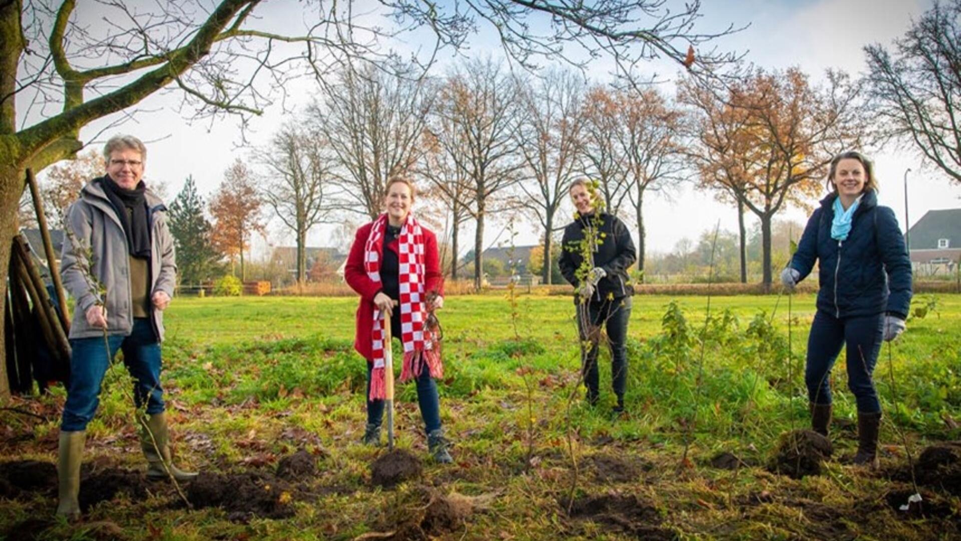 Actieplan bomen