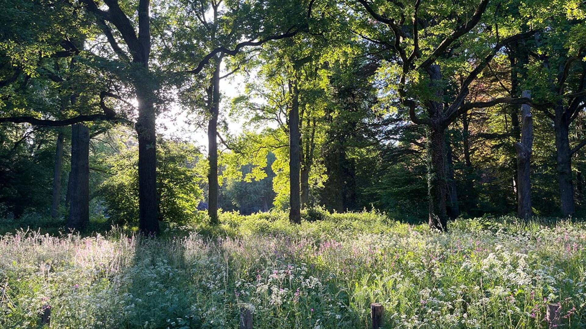 Nationale parken 