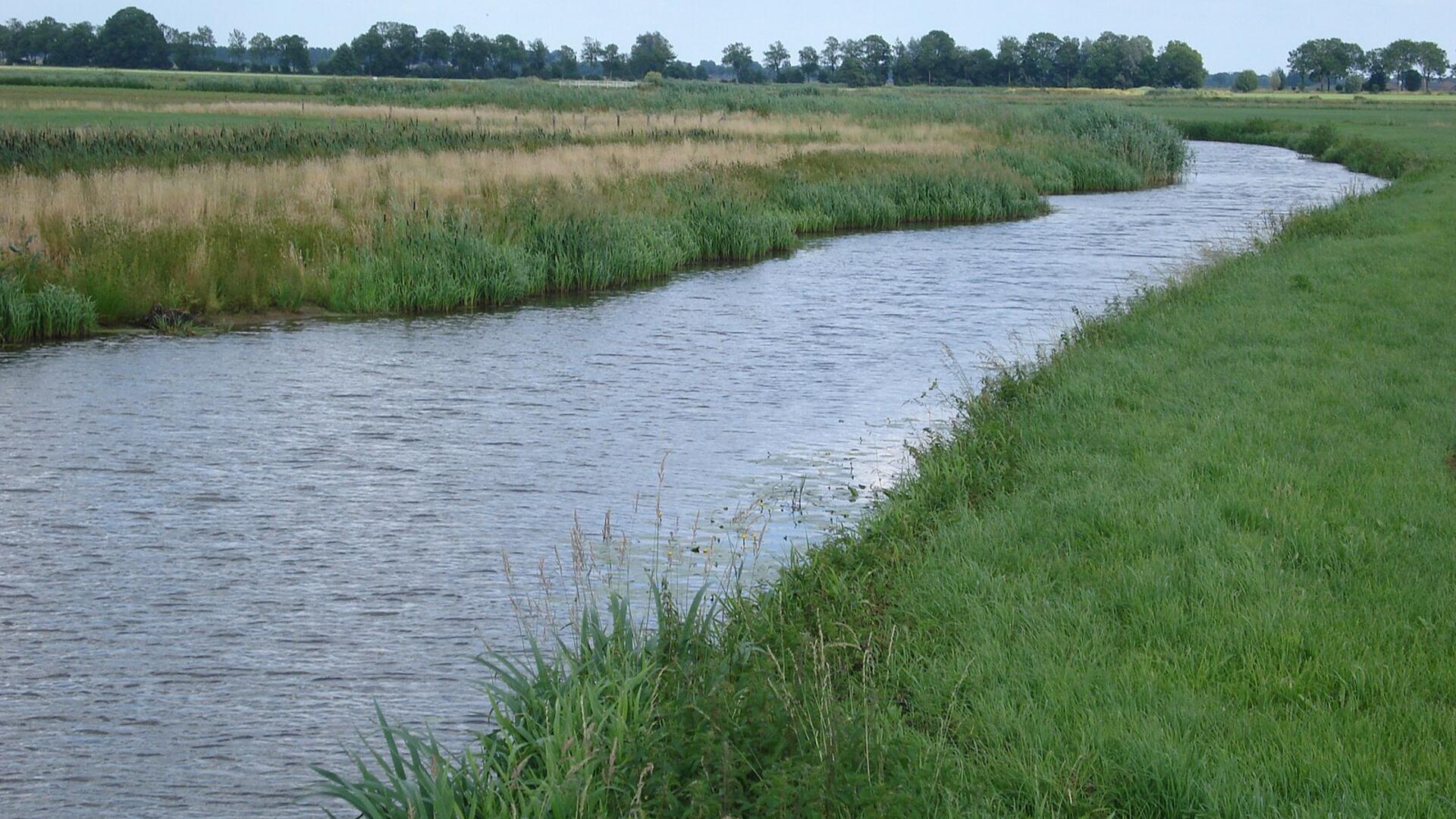Hertogswetering
