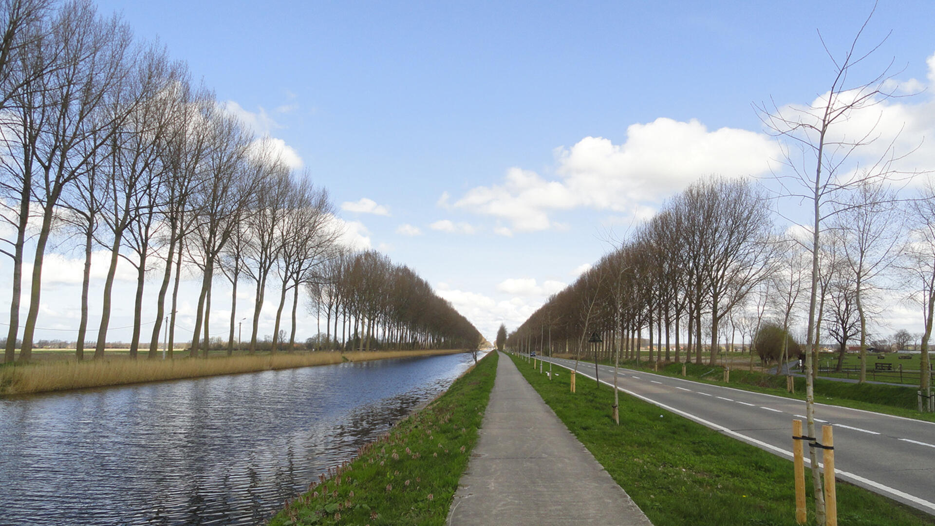 provinciale weg