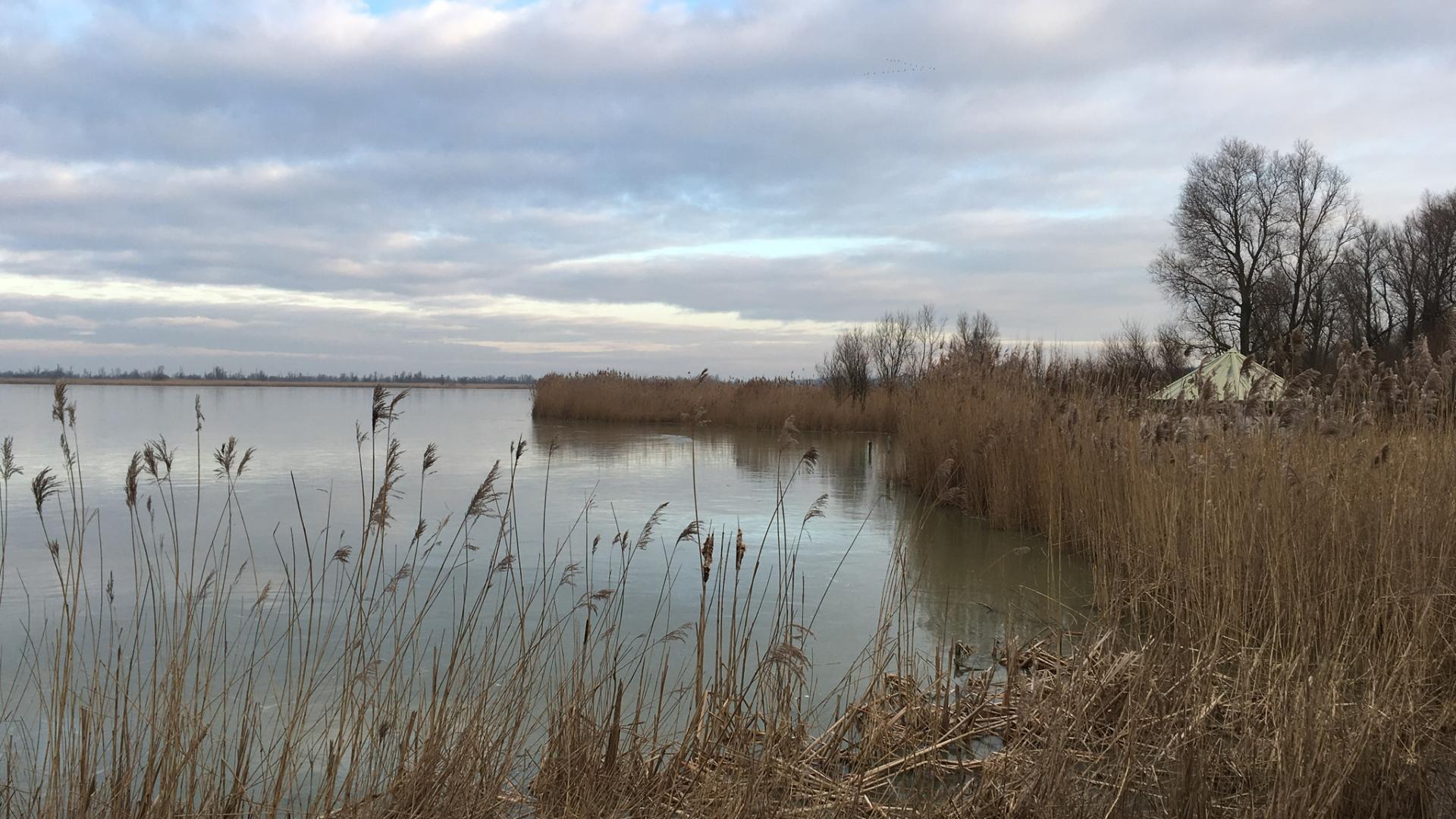 foto_natuur.jpg