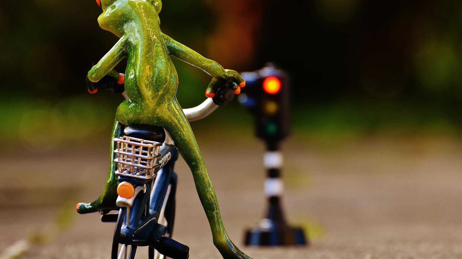 frog-1726766_1920.jpg