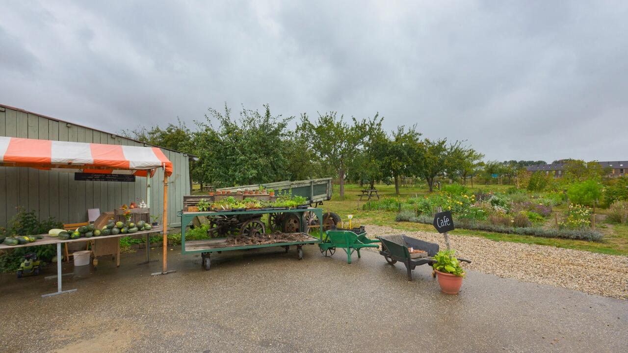 moestuin markt kleine boerderij